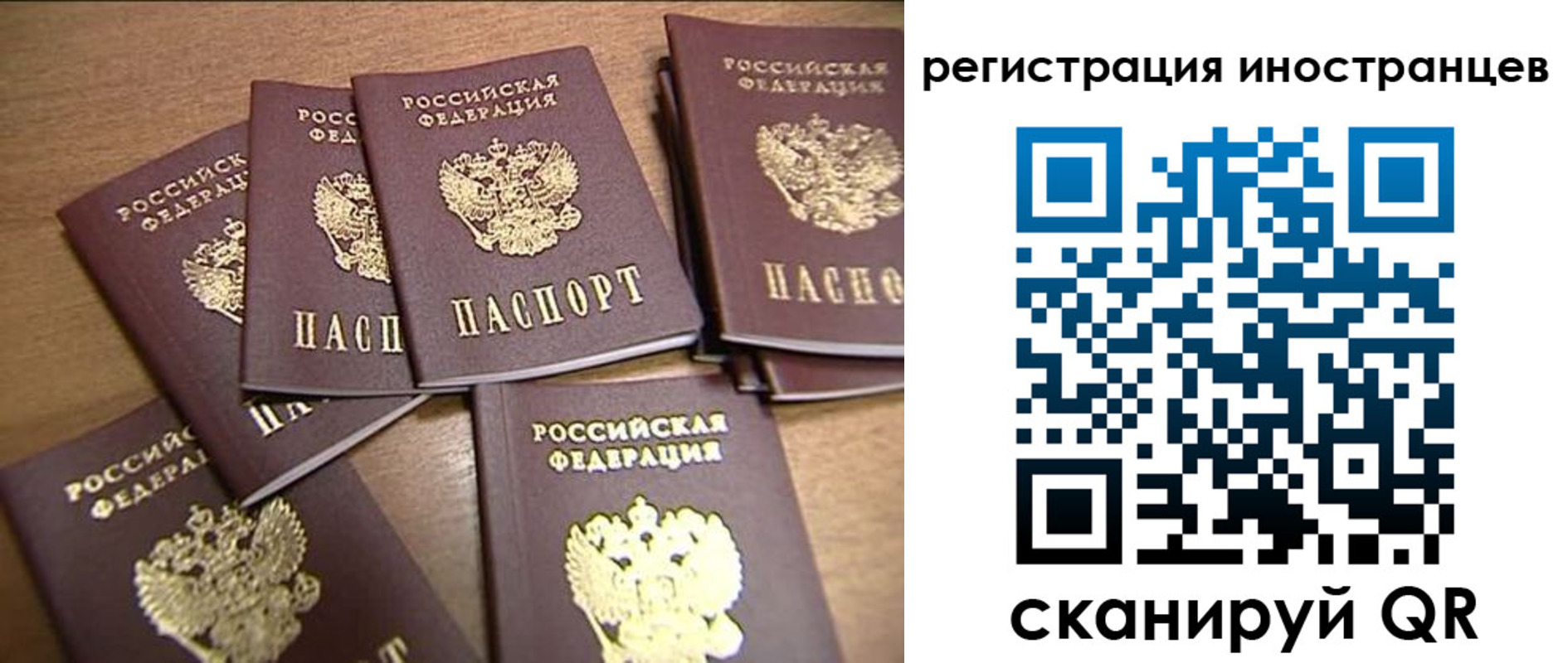 где прописаться в Пушкино